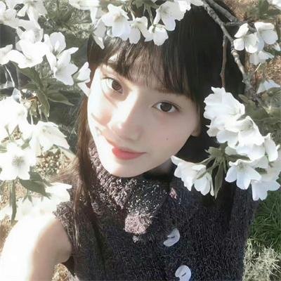 梅露可物语
