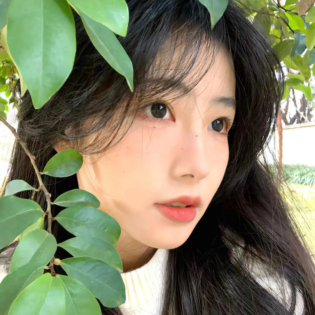 苏洛的记号